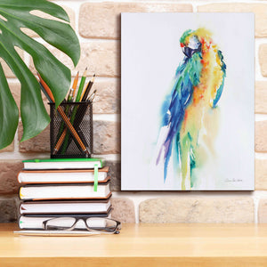 'Colorful Parrots II' by Alan Majchrowicz, Giclee Canvas Wall Art,12x16