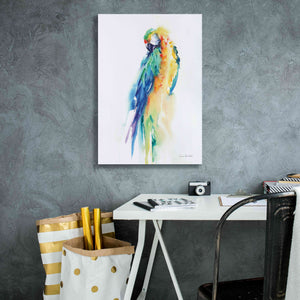 'Colorful Parrots II' by Alan Majchrowicz, Giclee Canvas Wall Art,18x26