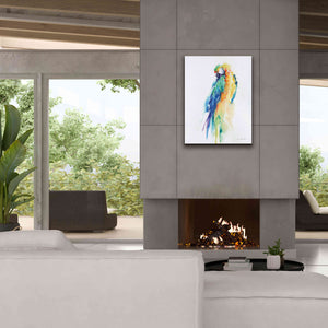 'Colorful Parrots II' by Alan Majchrowicz, Giclee Canvas Wall Art,26x34