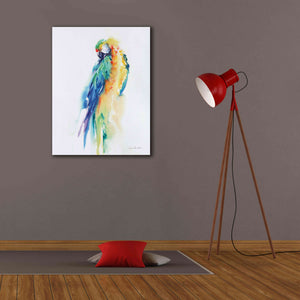 'Colorful Parrots II' by Alan Majchrowicz, Giclee Canvas Wall Art,26x34