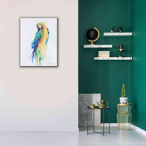 Image of 'Colorful Parrots II' by Alan Majchrowicz, Giclee Canvas Wall Art,26x34