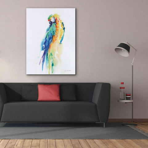 Image of 'Colorful Parrots II' by Alan Majchrowicz, Giclee Canvas Wall Art,40x54