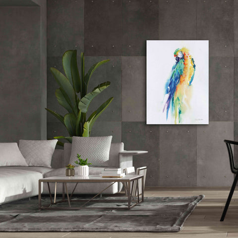 Image of 'Colorful Parrots II' by Alan Majchrowicz, Giclee Canvas Wall Art,40x54