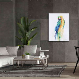 'Colorful Parrots II' by Alan Majchrowicz, Giclee Canvas Wall Art,40x54