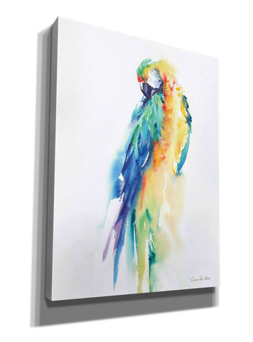 Image of 'Colorful Parrots II' by Alan Majchrowicz, Giclee Canvas Wall Art