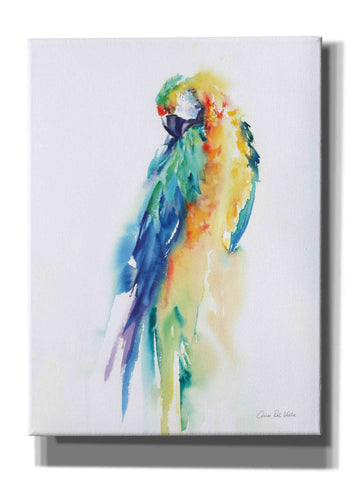 Image of 'Colorful Parrots II' by Alan Majchrowicz, Giclee Canvas Wall Art