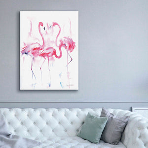 'Flamingo Trio' by Alan Majchrowicz, Giclee Canvas Wall Art,40x54
