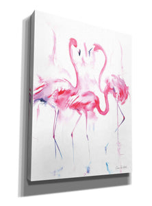 'Flamingo Trio' by Alan Majchrowicz, Giclee Canvas Wall Art