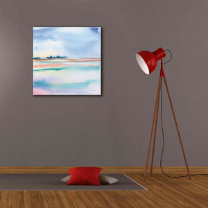 'Water And Sand' by Alan Majchrowicz, Giclee Canvas Wall Art,26x26