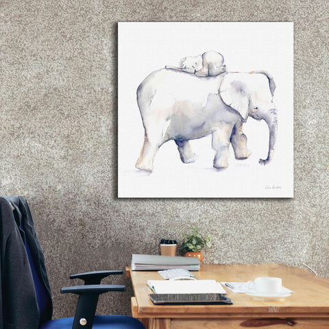 Image of 'Baby Elephant Love III' by Alan Majchrowicz, Giclee Canvas Wall Art,37x37