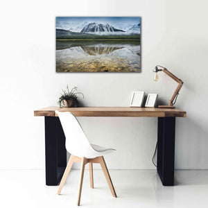 'Waterfowl Lake I' by Alan Majchrowicz, Giclee Canvas Wall Art,40x26