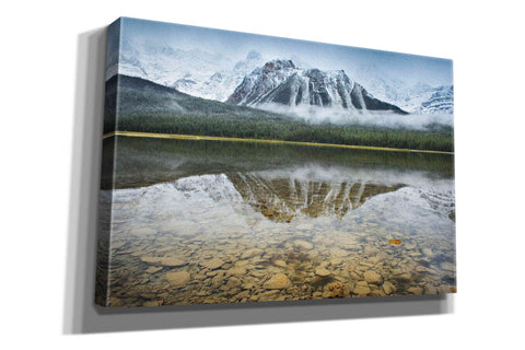 Image of 'Waterfowl Lake I' by Alan Majchrowicz, Giclee Canvas Wall Art