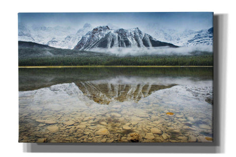 Image of 'Waterfowl Lake I' by Alan Majchrowicz, Giclee Canvas Wall Art