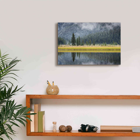 Image of 'Waterfowl Lake II' by Alan Majchrowicz, Giclee Canvas Wall Art,18x12