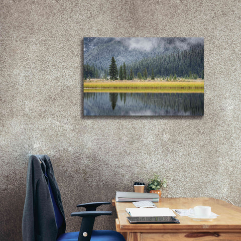 Image of 'Waterfowl Lake II' by Alan Majchrowicz, Giclee Canvas Wall Art,40x26