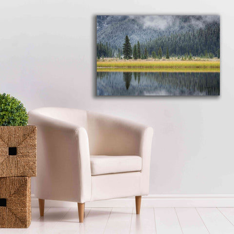 Image of 'Waterfowl Lake II' by Alan Majchrowicz, Giclee Canvas Wall Art,40x26