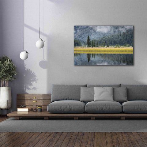 Image of 'Waterfowl Lake II' by Alan Majchrowicz, Giclee Canvas Wall Art,60x40