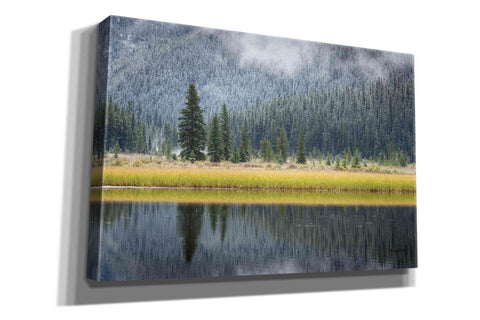 Image of 'Waterfowl Lake II' by Alan Majchrowicz, Giclee Canvas Wall Art