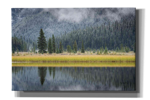 Image of 'Waterfowl Lake II' by Alan Majchrowicz, Giclee Canvas Wall Art