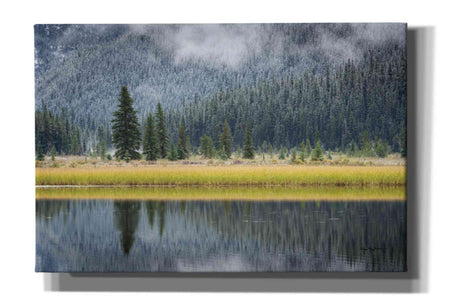 'Waterfowl Lake II' by Alan Majchrowicz, Giclee Canvas Wall Art