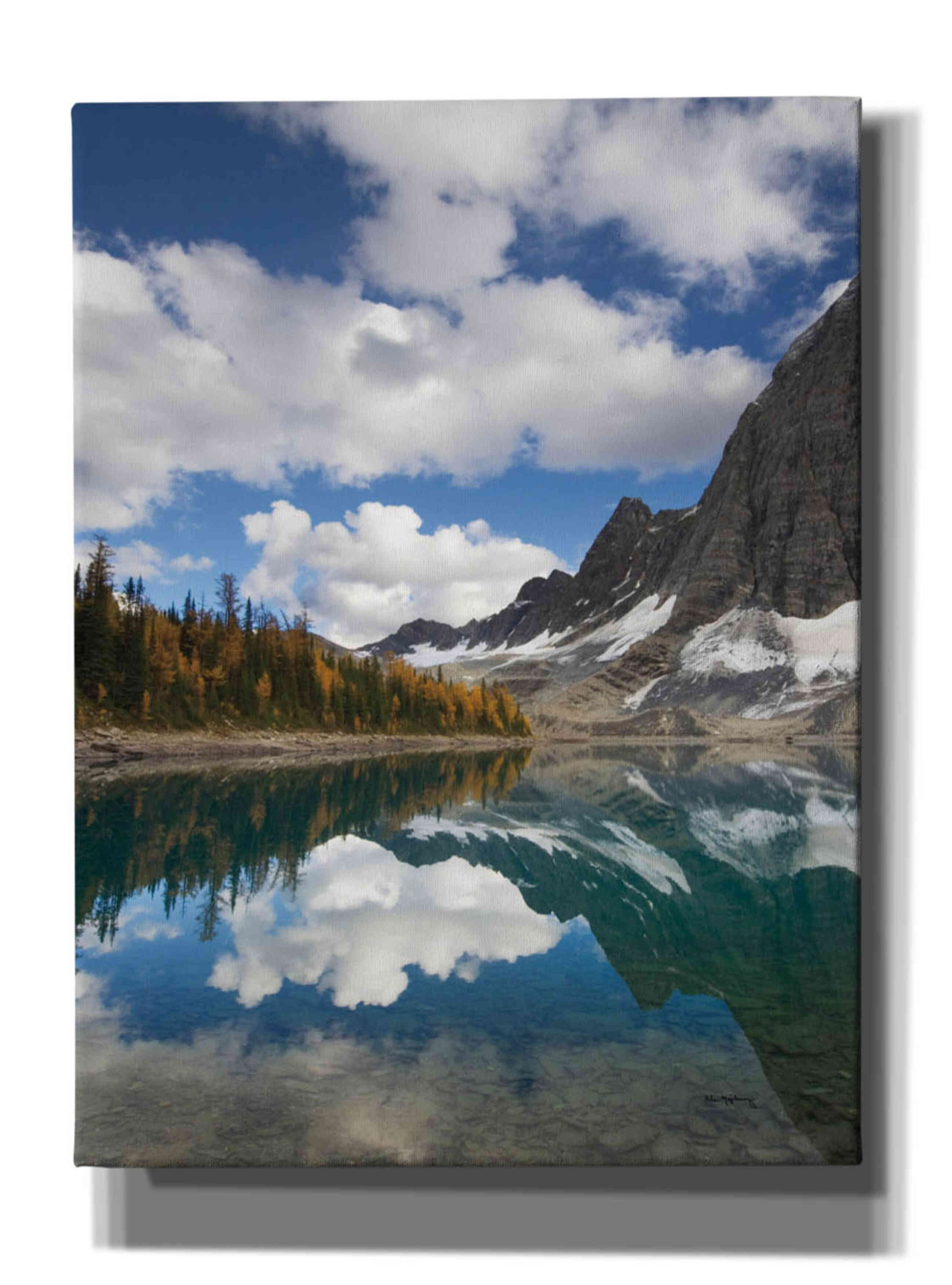 'Floe Lake Reflection I' by Alan Majchrowicz, Giclee Canvas Wall Art