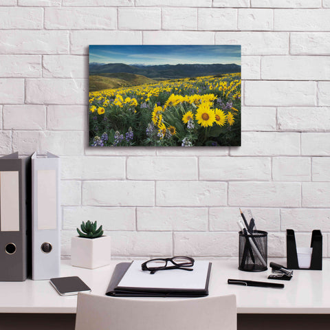 Image of 'Methow Valley Wildflowers IV' by Alan Majchrowicz, Giclee Canvas Wall Art,18x12