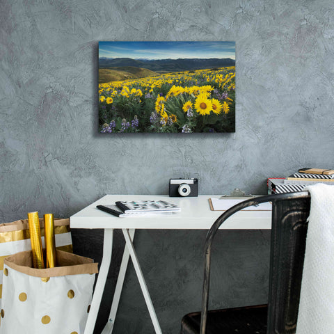 Image of 'Methow Valley Wildflowers IV' by Alan Majchrowicz, Giclee Canvas Wall Art,18x12