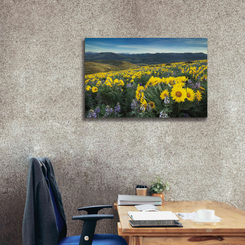 Image of 'Methow Valley Wildflowers IV' by Alan Majchrowicz, Giclee Canvas Wall Art,40x26