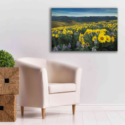 Image of 'Methow Valley Wildflowers IV' by Alan Majchrowicz, Giclee Canvas Wall Art,40x26