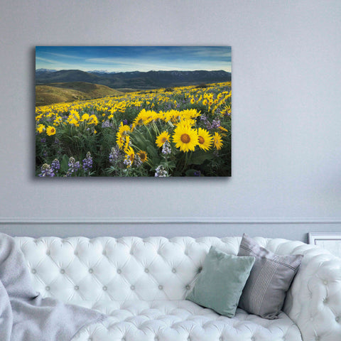 Image of 'Methow Valley Wildflowers IV' by Alan Majchrowicz, Giclee Canvas Wall Art,60x40