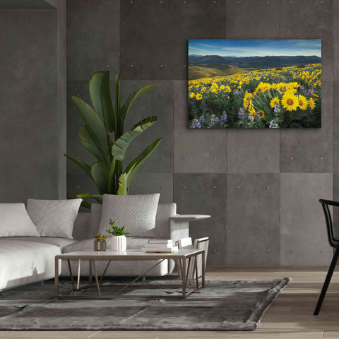 Image of 'Methow Valley Wildflowers IV' by Alan Majchrowicz, Giclee Canvas Wall Art,60x40