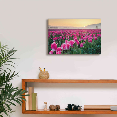 Image of 'Skagit Valley Tulips I' by Alan Majchrowicz, Giclee Canvas Wall Art,18x12
