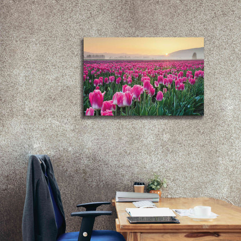 Image of 'Skagit Valley Tulips I' by Alan Majchrowicz, Giclee Canvas Wall Art,40x26