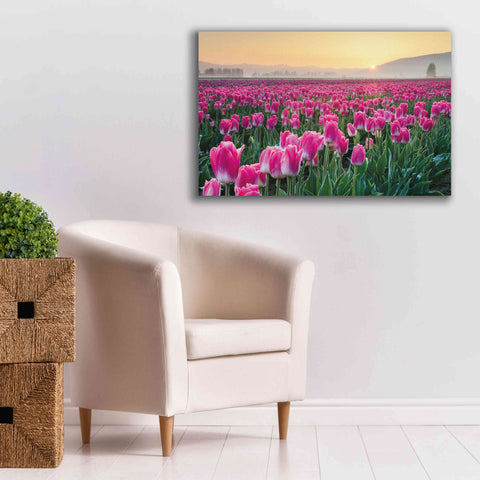 Image of 'Skagit Valley Tulips I' by Alan Majchrowicz, Giclee Canvas Wall Art,40x26
