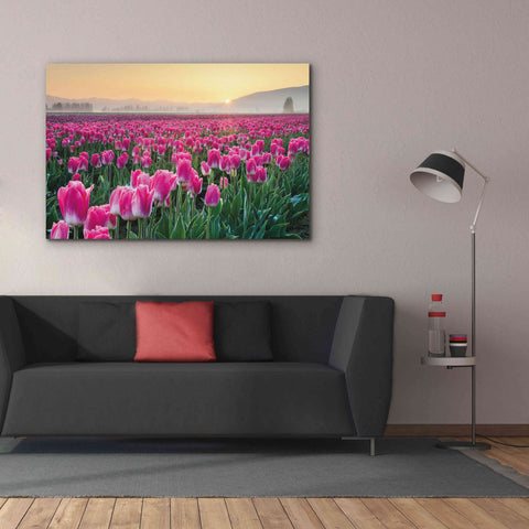 Image of 'Skagit Valley Tulips I' by Alan Majchrowicz, Giclee Canvas Wall Art,60x40