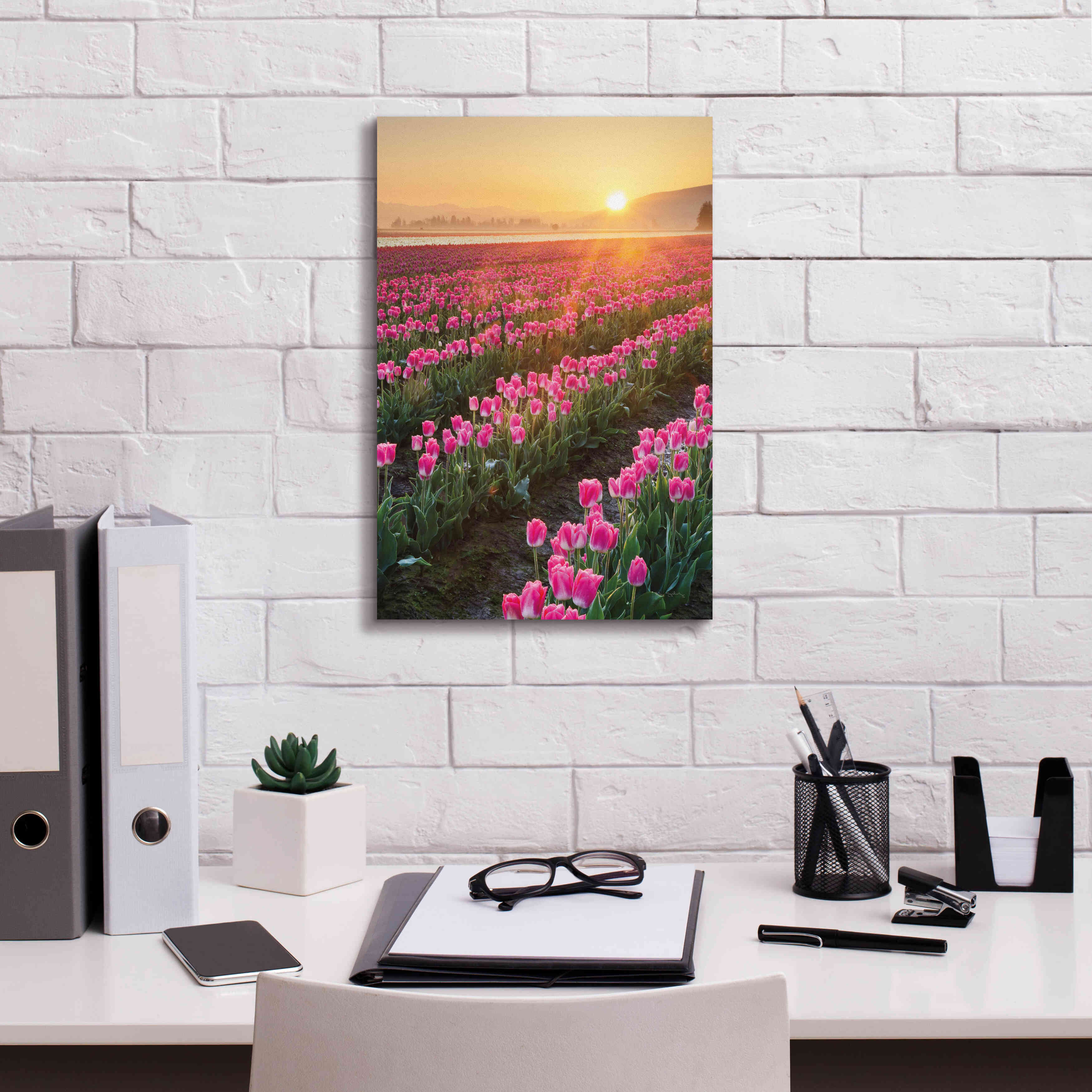 'Skagit Valley Tulips II' by Alan Majchrowicz,Giclee Canvas Wall Art,12x18