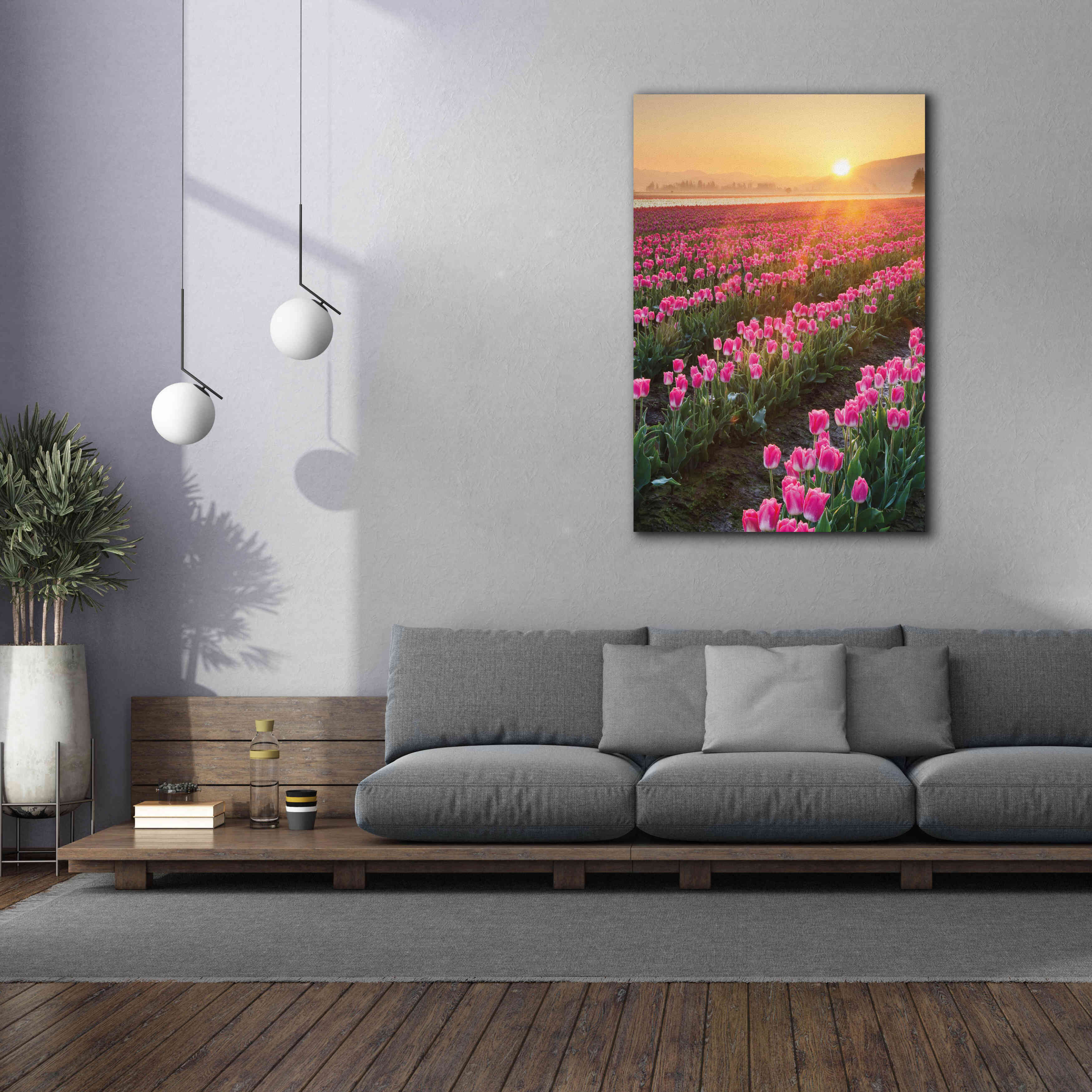 'Skagit Valley Tulips II' by Alan Majchrowicz,Giclee Canvas Wall Art,40x60