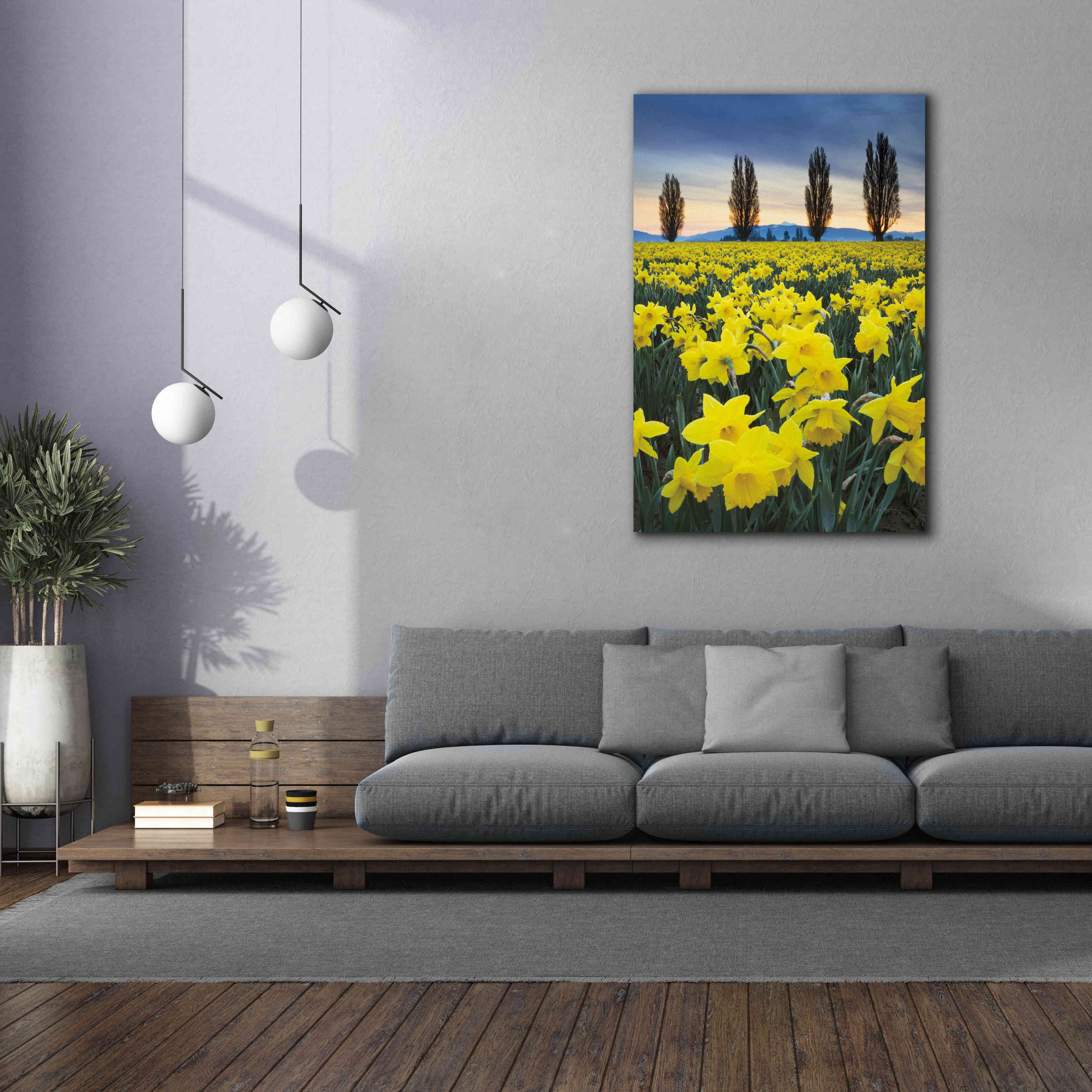 'Skagit Valley Daffodils I' by Alan Majchrowicz,Giclee Canvas Wall Art,40x60