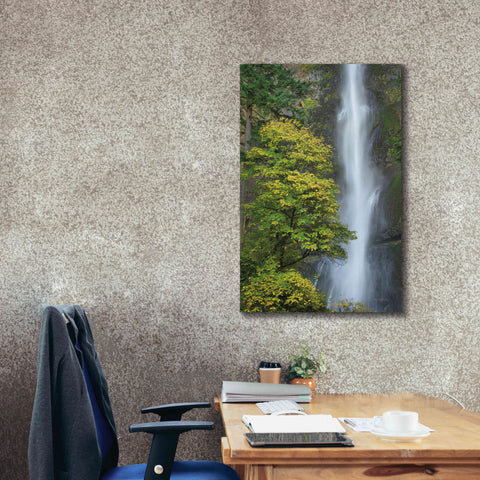 Image of 'Multnomah Falls color' by Alan Majchrowicz,Giclee Canvas Wall Art,26x40
