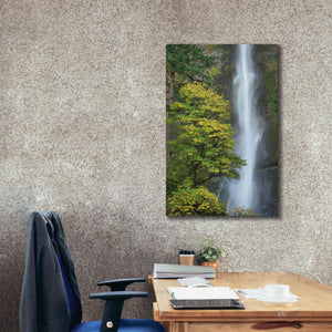 'Multnomah Falls color' by Alan Majchrowicz,Giclee Canvas Wall Art,26x40