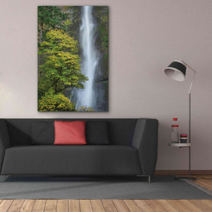 'Multnomah Falls color' by Alan Majchrowicz,Giclee Canvas Wall Art,40x60