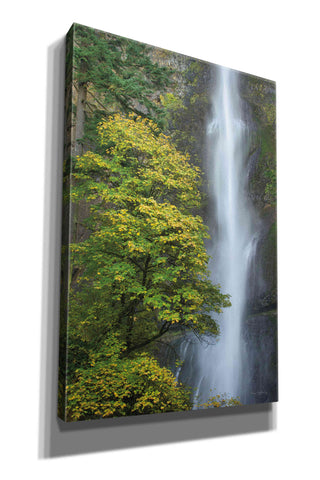 Image of 'Multnomah Falls color' by Alan Majchrowicz,Giclee Canvas Wall Art