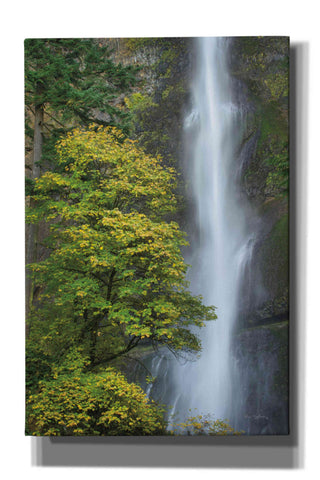 Image of 'Multnomah Falls color' by Alan Majchrowicz,Giclee Canvas Wall Art