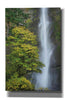 'Multnomah Falls color' by Alan Majchrowicz,Giclee Canvas Wall Art