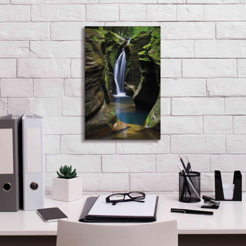 Image of 'Corkscrew Falls Ohio' by Alan Majchrowicz,Giclee Canvas Wall Art,12x18