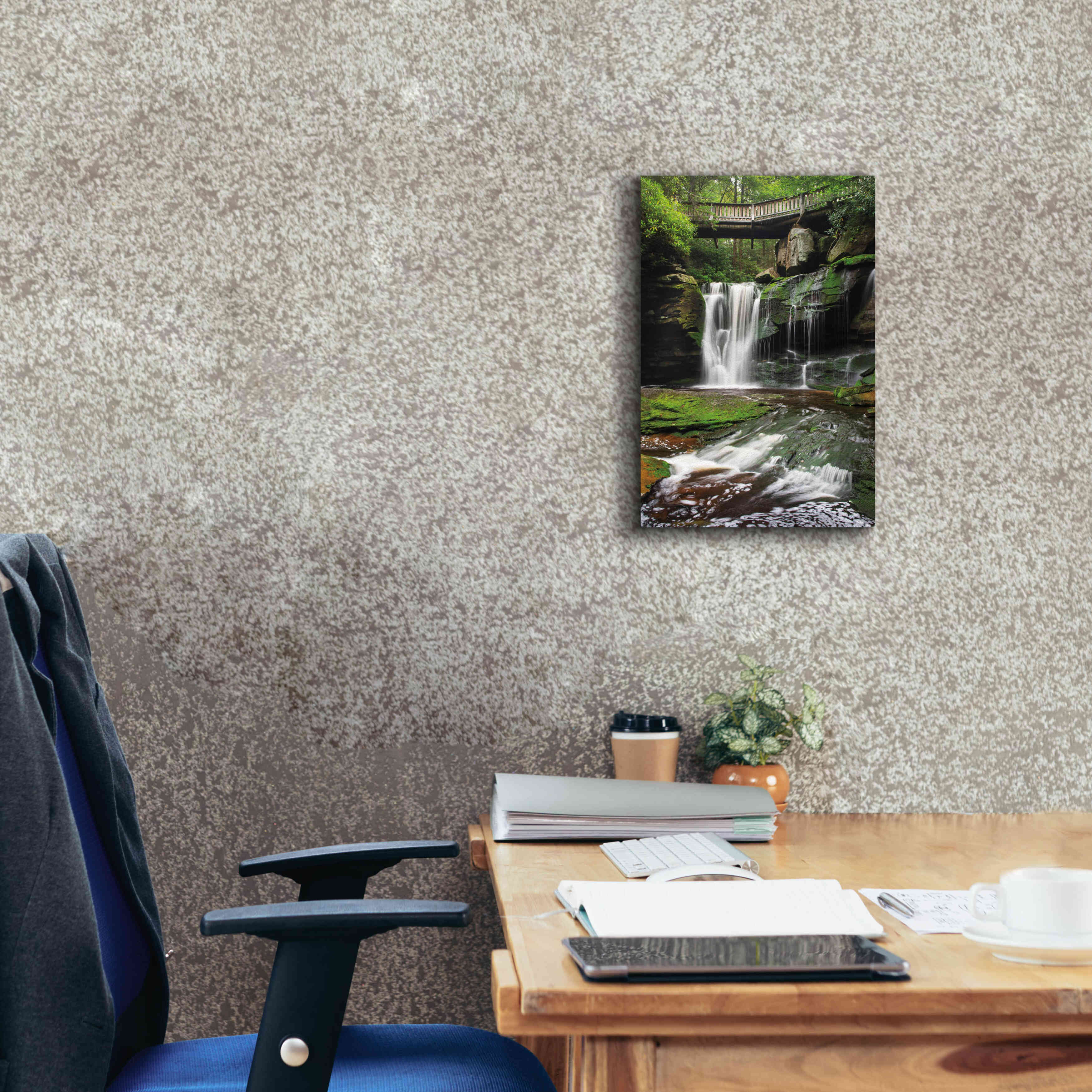 'Elakala Falls West I' by Alan Majchrowicz,Giclee Canvas Wall Art,12x18