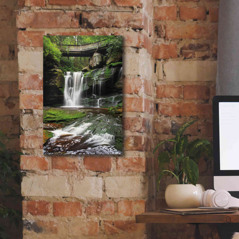 Image of 'Elakala Falls West I' by Alan Majchrowicz,Giclee Canvas Wall Art,12x18