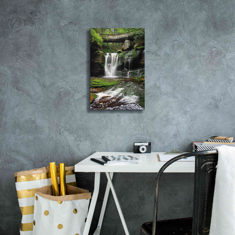 Image of 'Elakala Falls West I' by Alan Majchrowicz,Giclee Canvas Wall Art,12x18