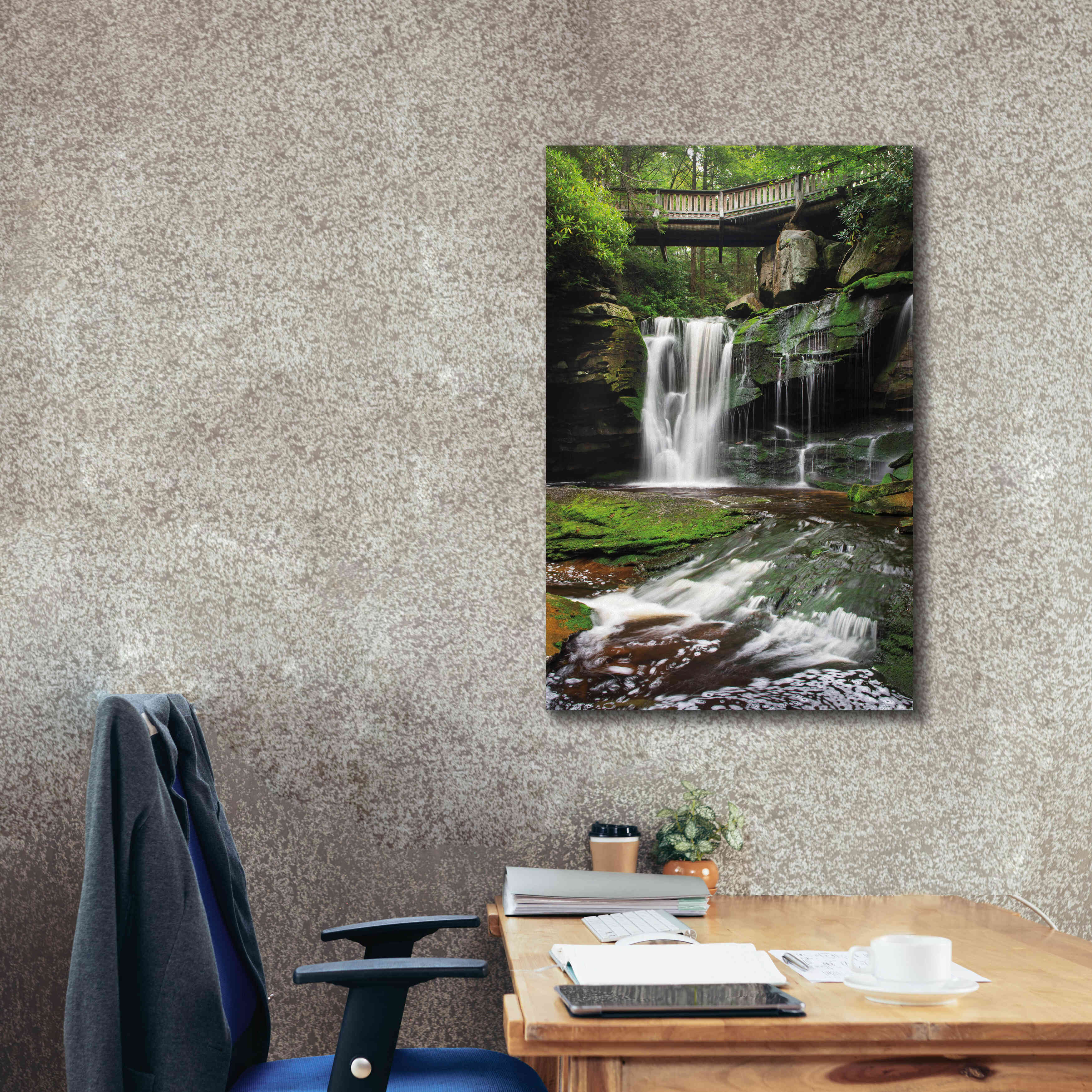 'Elakala Falls West I' by Alan Majchrowicz,Giclee Canvas Wall Art,26x40