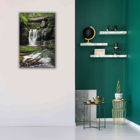 Image of 'Elakala Falls West I' by Alan Majchrowicz,Giclee Canvas Wall Art,26x40